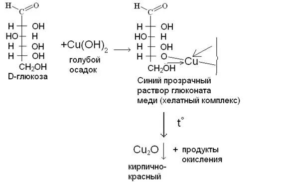 Глюконат меди (II) формула. Комплекс меди с глюкозой. Глюконат меди 2 комплекс формула. Образование глюконата меди 2. Окисление глюкозы гидроксидом меди