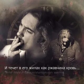 Король и шут todd 2