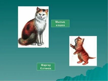 Лесбиянкимен порно