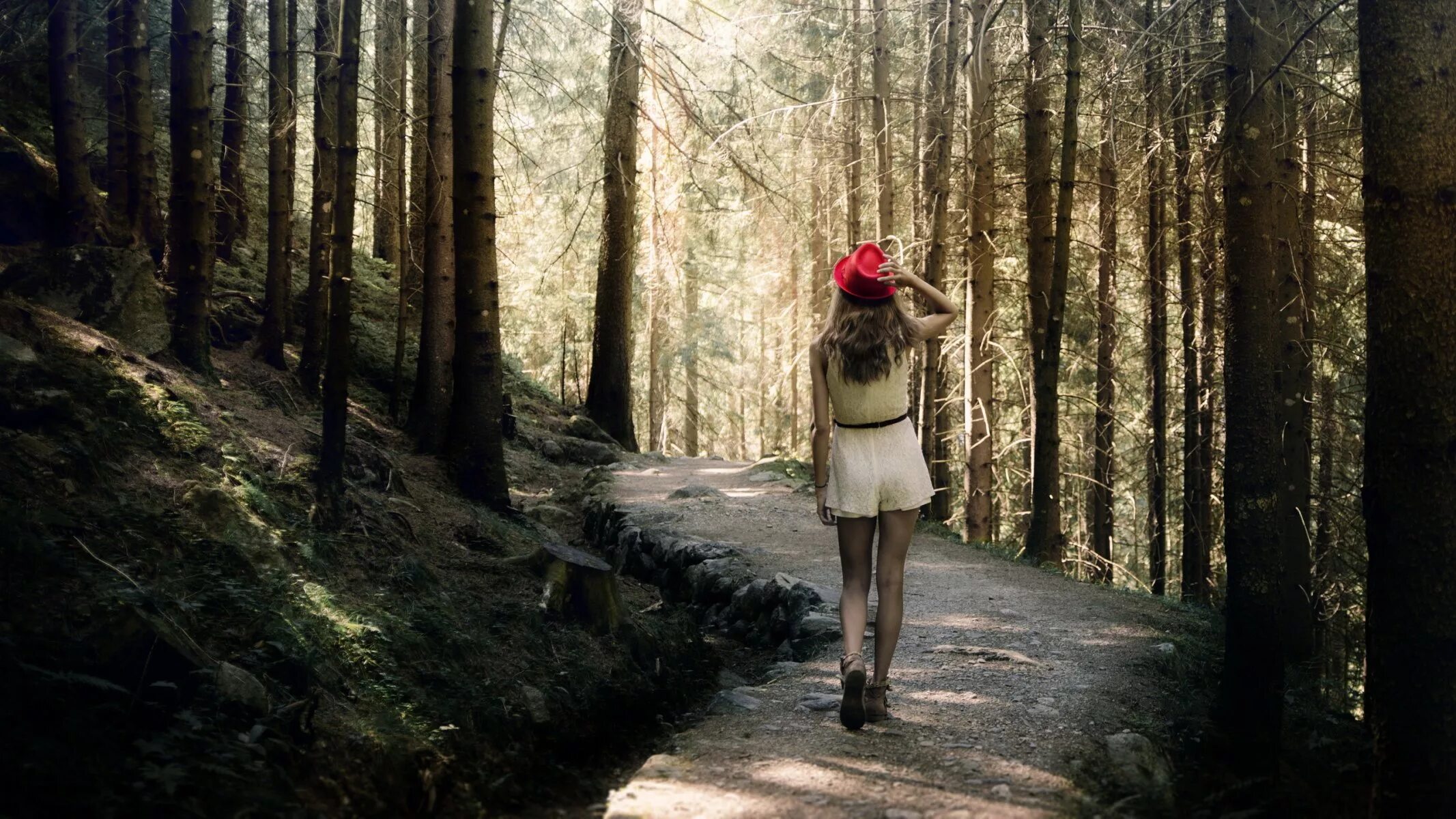 Фотосессия в лесу. Девушка в лесу. Один в лесу. Фотосессия прогулка в лесу. Полненькую в лесу