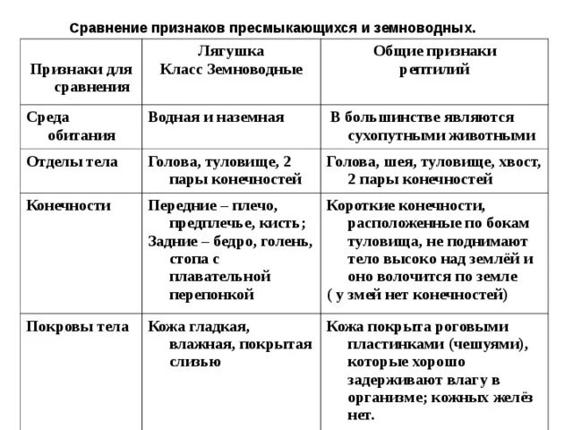 Черты сходства и различия млекопитающих и пресмыкающихся. Таблица по биологии 7 класс земноводные и пресмыкающиеся. Общие признаки земноводных и пресмыкающихся таблица. Таблица по биологии 7 класс класс земноводные или амфибии. Общая характеристика класса земноводные 7 класс биология таблица.