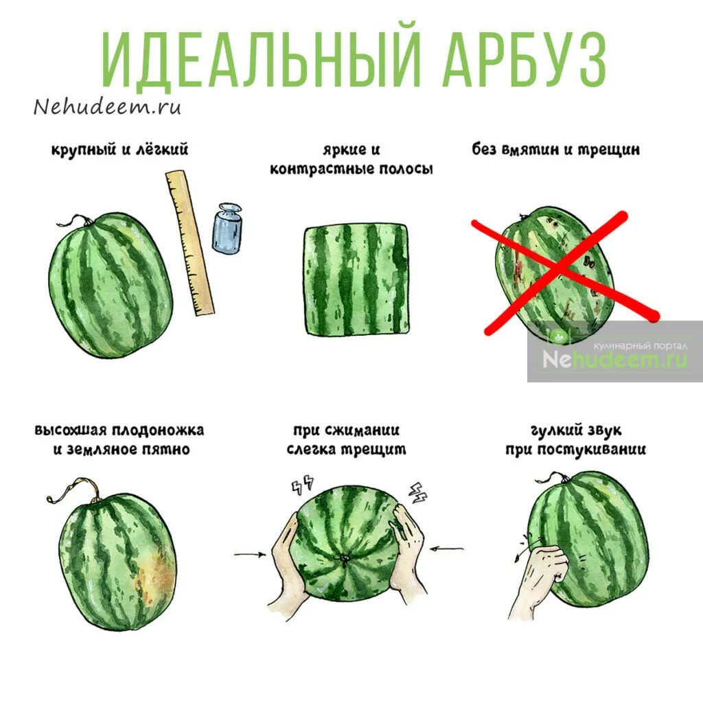 Как узнать спелый арбуз или нет. Как выбрать спелый арбуз в магазине правильно и сладкий. как правильно выбрать арбуз спелый. как выбрать арбуз. как правильно выбрать арбуз.