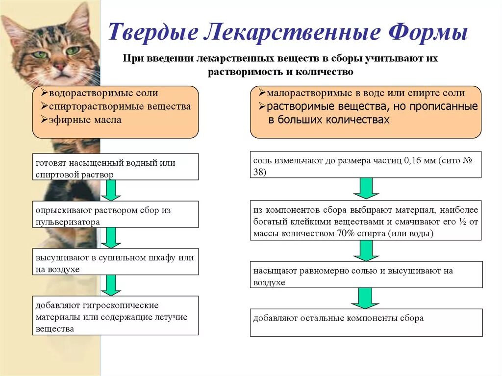 Типы лекарственных форм. Классификация ветеринарных лекарственных форм. Твердые лекарственные формы. Твердые лекарственные формы Ветеринария. Твердые лекарственные формы фармакология.