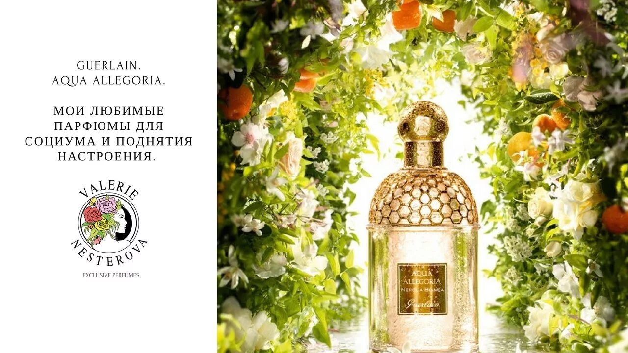 Guerlain Aqua Allegoria ароматы. Аква аллегория ветивер. Aqua Allegoria Forte Nerolia Vetiver. Aqua Allegoria Mandarine basilic.