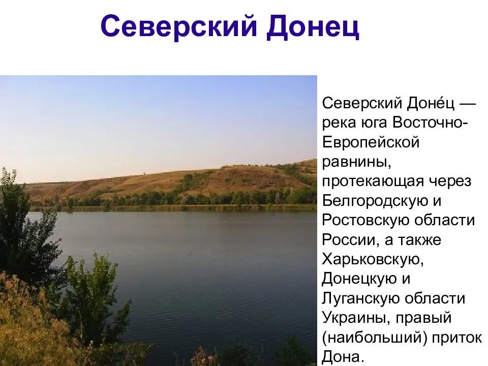 Северский донец впадает. Река северский донец ростовская область. исток реки северский донец в белгородской области. река северский донец притоки ,белгородская область. северский донец впадает в дон.