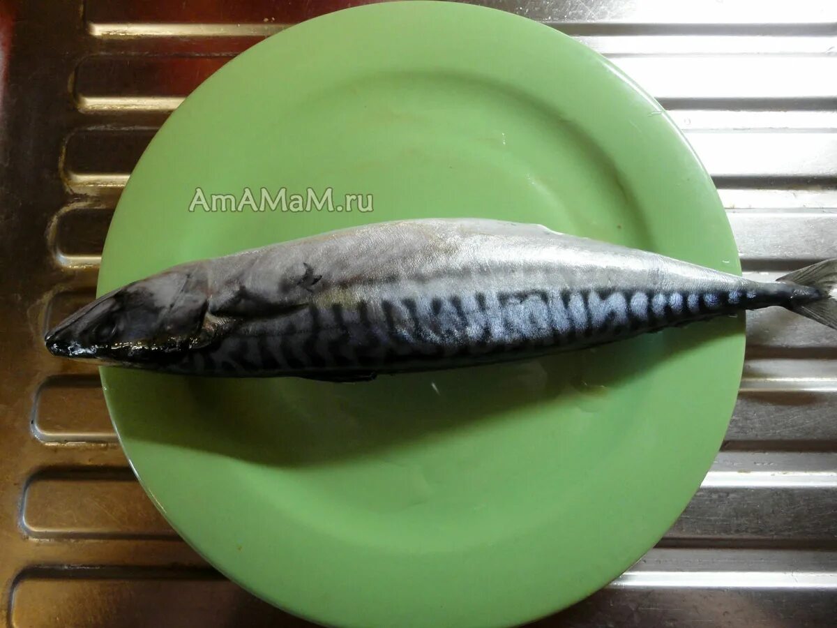 скумбрия в луковой шелухе за 3 минуты. поместили в кипящий рассол шелухи. скумбрия солёная в луковой шелухе и заварке. скумбрия в луковой шелухе за 3 минуты. скумбрия в луковой шелухе.