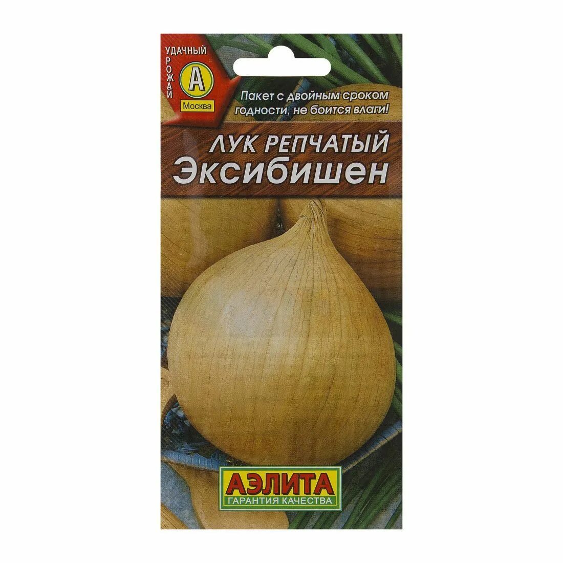 Эксибишен под зиму семенами в открытый грунт. Эксибишен под зиму семенами в открытый грунт