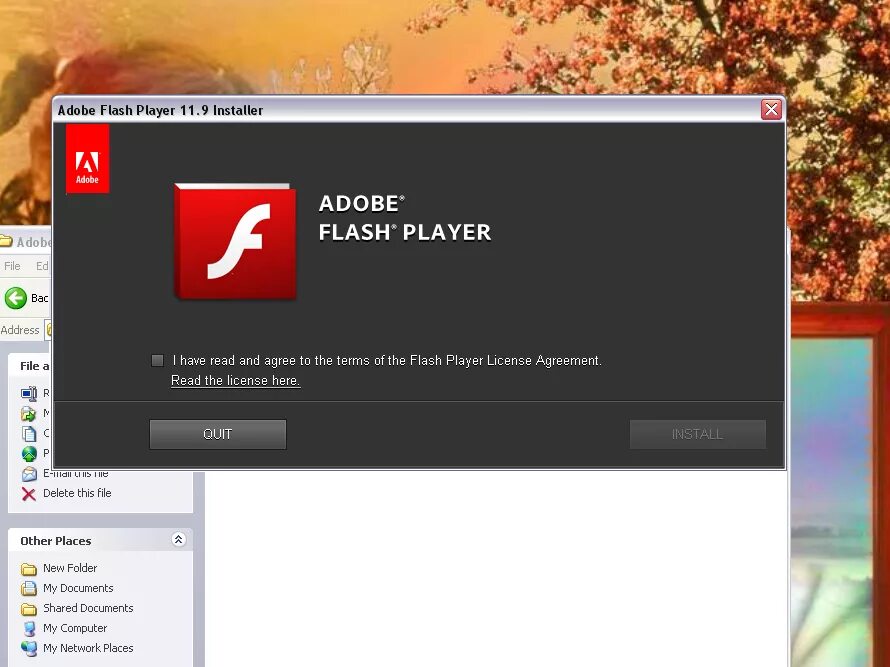 Flash player пк. Adobe Flash. Адобе флеш плеер. Adobe Flash Player проигрыватель. Установщик Adobe Flash Player.