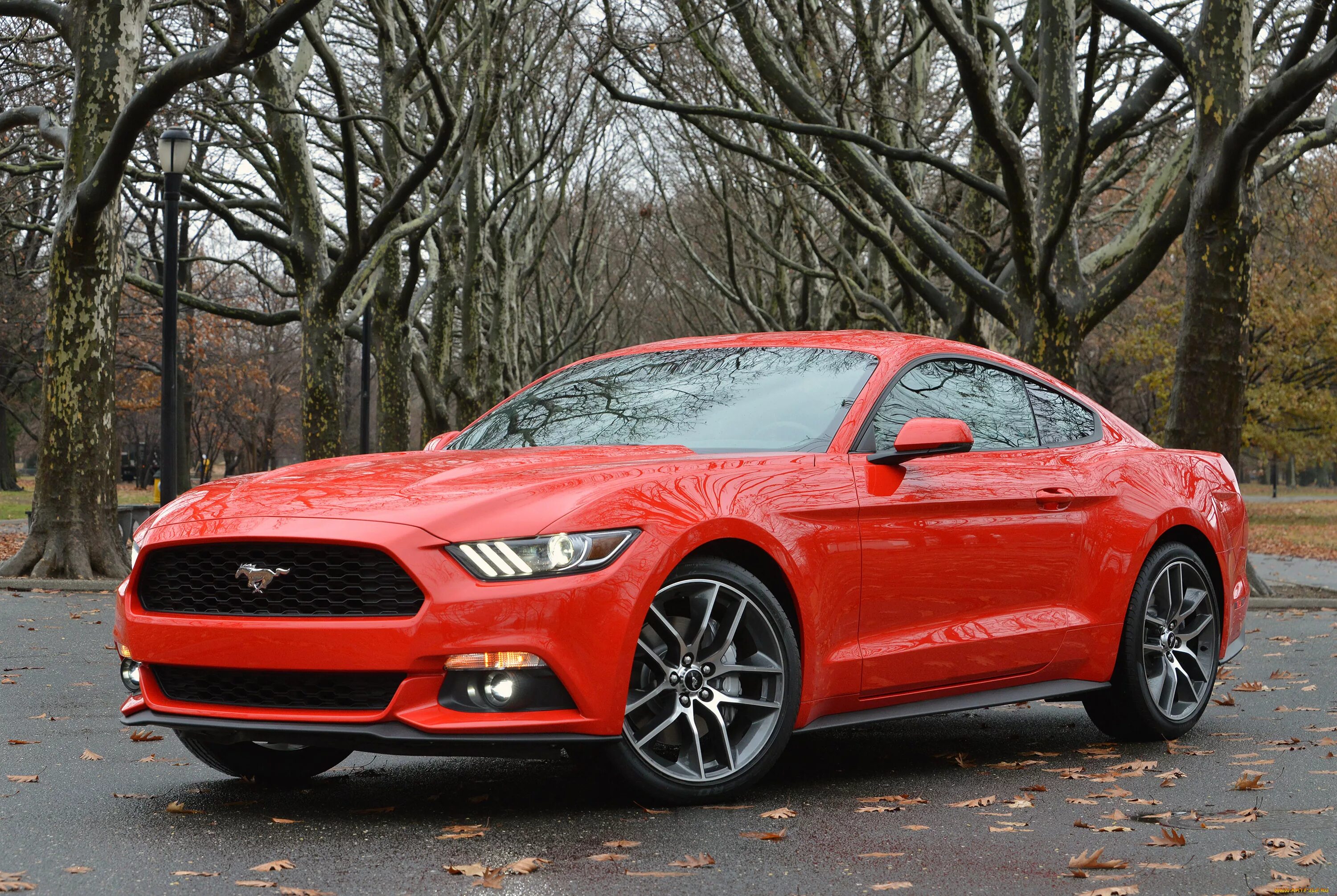 Форд Мустанг 2015. Форд Мустанг ГТ 2015. Ford Mustang 2015. Форд Мустанг 2015 красный.