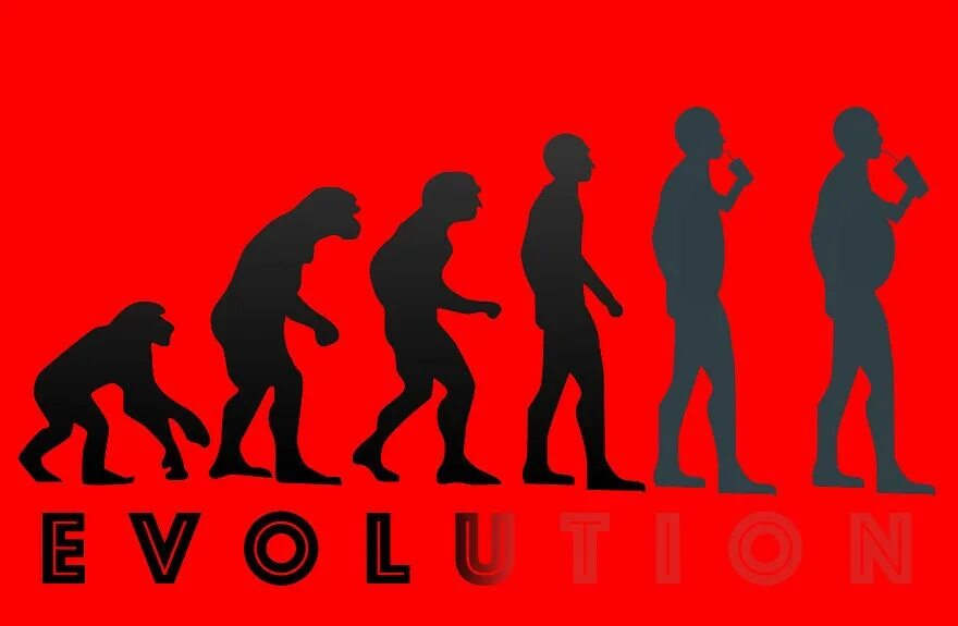 Эволюция человека хомо сапиенс. Q evolution. Эволюция картинки. Эволюция человека. Абстракция эволюция человека.