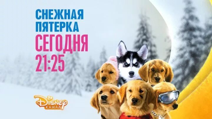 Снежная пятёрка на канале Disney. Snow buddies Снежная пятерка.