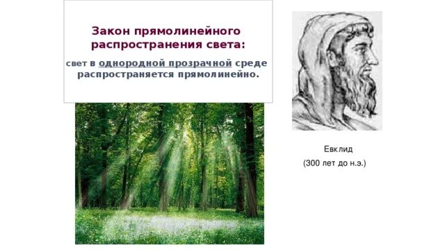 Презентация нав тему: "Источники света. Прямолинейное распространение света"