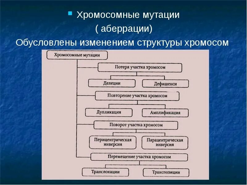 Хромосомная мутация изменение структуры хромосомы. Хромосомные мутации аберрации. хоромные мутации (аберрации). хромосомные мутации обусловлены. хромосомные мутации обусловлены изменением структуры хромосом.