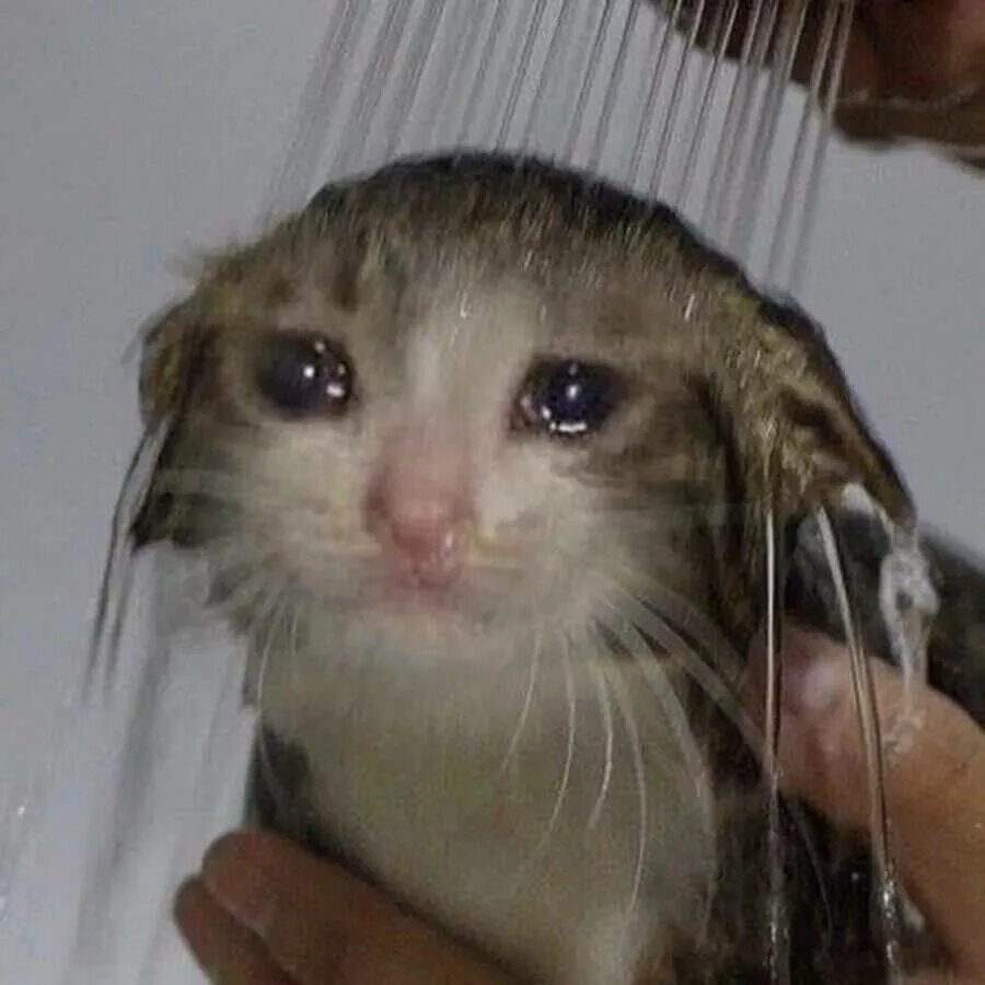 Я не плачу это просто дождь. Я не плачу это дождь. Батя я не плачу это дождь. Я плачу и плачу. Батя,я не плачу- это дождь идет.