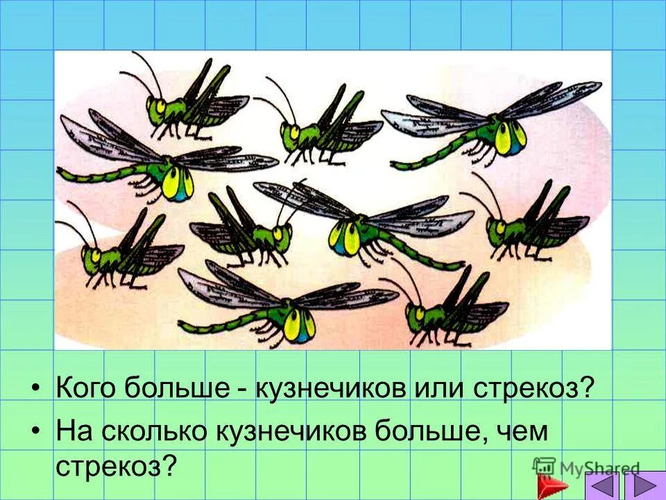 особенности строения саранчи. богомол кузнечик саранча. отряд прямокрылые кузнечики. кузнечик уэта. сколько кузнечиков.
