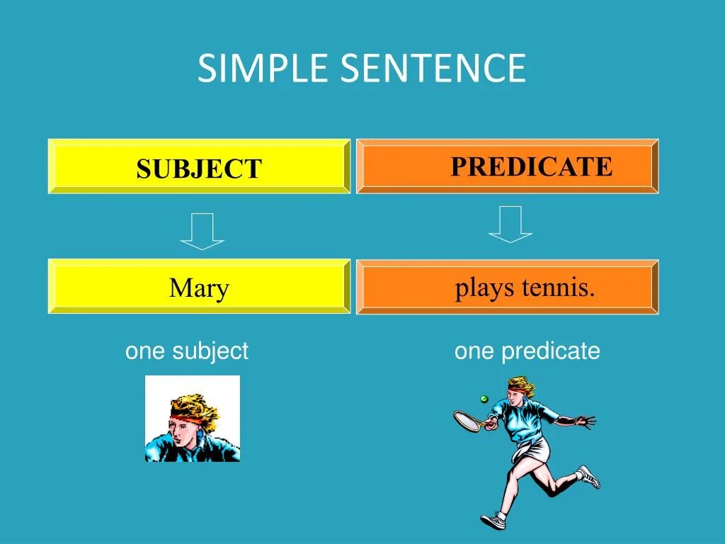 Simple sentence. Sentence structure simple sentence. Simple sentence example. Simple sentence in English.