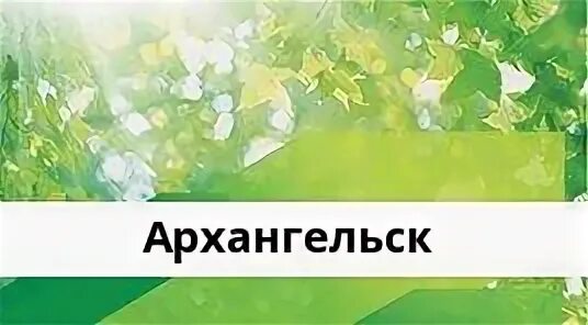 Часы работы сбербанка в архангельске. Архангельск сбербанк отделения. архангельское отделение 8637 пао сбербанк. отделение сбера в архангельске. сбербанк архангельск адреса отделений.