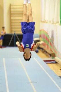 Спортивная гимнастика стандарт подготовки