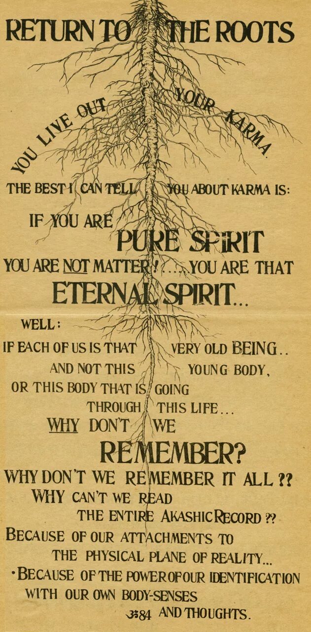 Return to roots. Return to roots