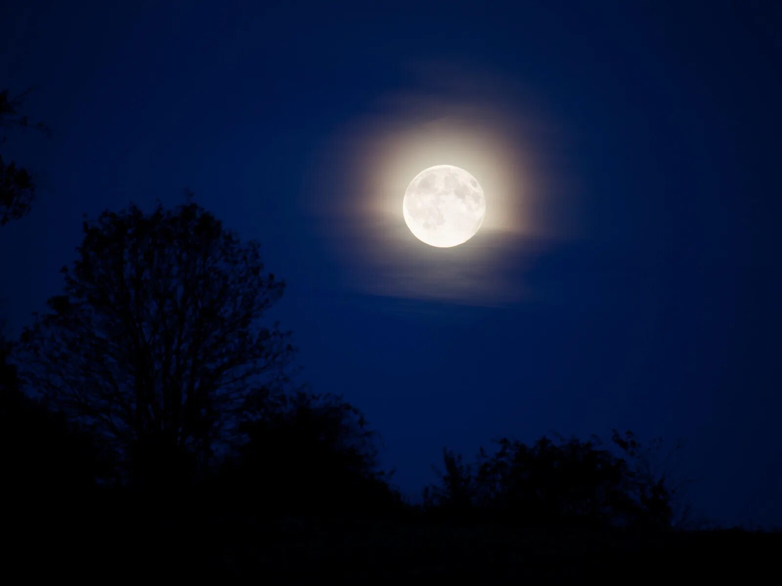 Луна светила из круглой. Луна светит. Светящаяся Луна. Луна светится. Ночное небо с луной.