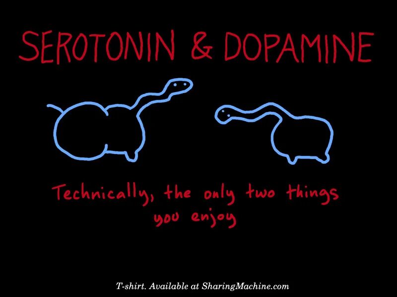 Серотонин музыка. Серотонин картинки смешные. Серотонин радость. Футболка Dopamine. Only two things.