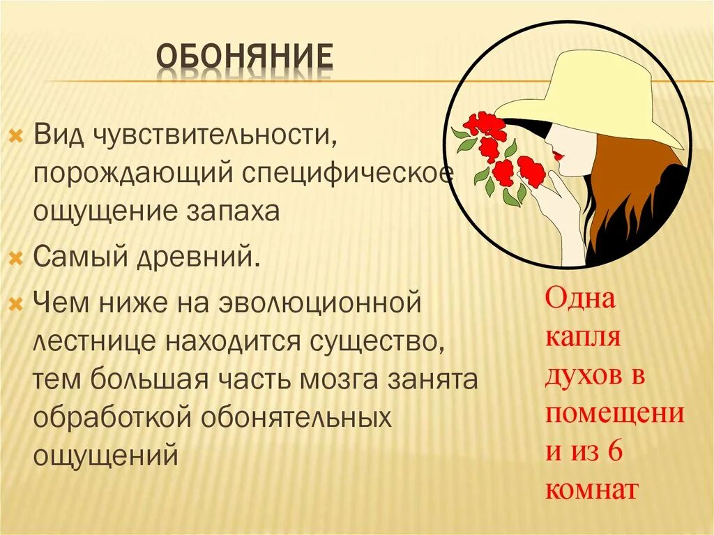 Обоняние человека основные психические процессы. Все виды чувствительности кроме обоняния. Осязание и обоняние понятие для детей.