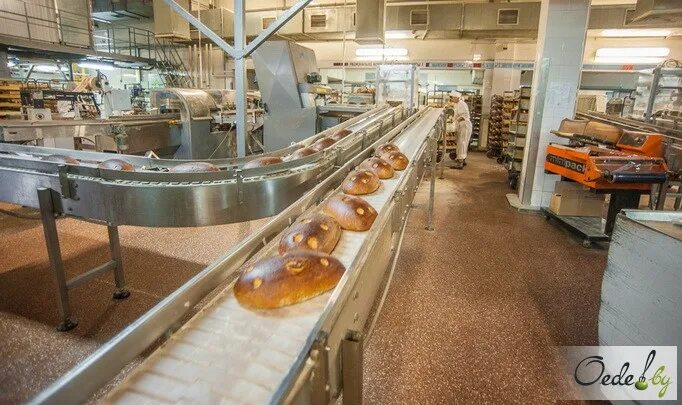 цех хлебозавода. хлебозавод минск. нарезка хлеба на хлебозаводе. фирменный магазин хлебозавода 3. хлебзавод или хлебозавод.