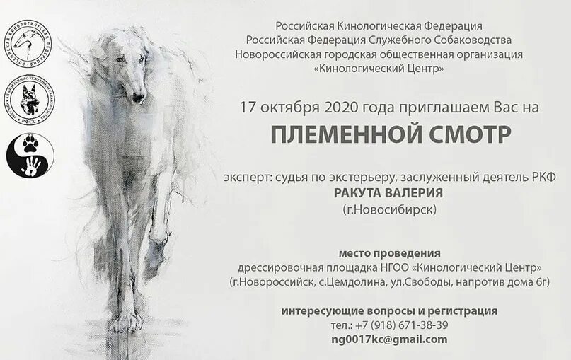 Племенное положение ркф 2025 вязка. Выставка ркф. кинологический центр новороссийск. племенной смотр собак. руководитель ркф.