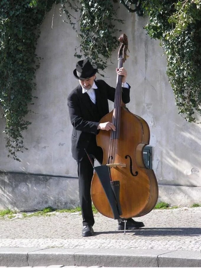 виолончель басы. микеле тодини контрабас. бас муз инструмент. контрабас музыкальный инструмент. микеле тодини контрабас.