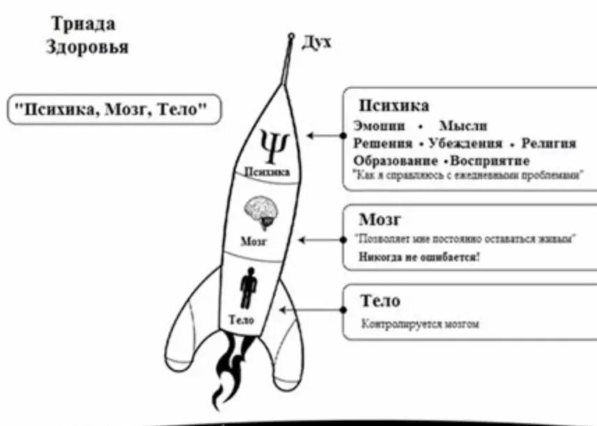 Тело и психика. Мозг и психика. Здоровье мозга и психики. Мозг тело психика схема. Исцеление жильбер