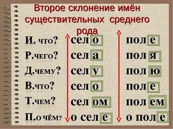 Карточки для определения склонения существительных 4 класс