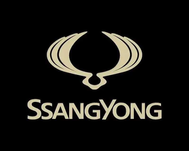 Значок саньенг. SSANGYONG лого. Значок Санг енг. Санг Йонг значок машины. SSANGYONG Motor Company.