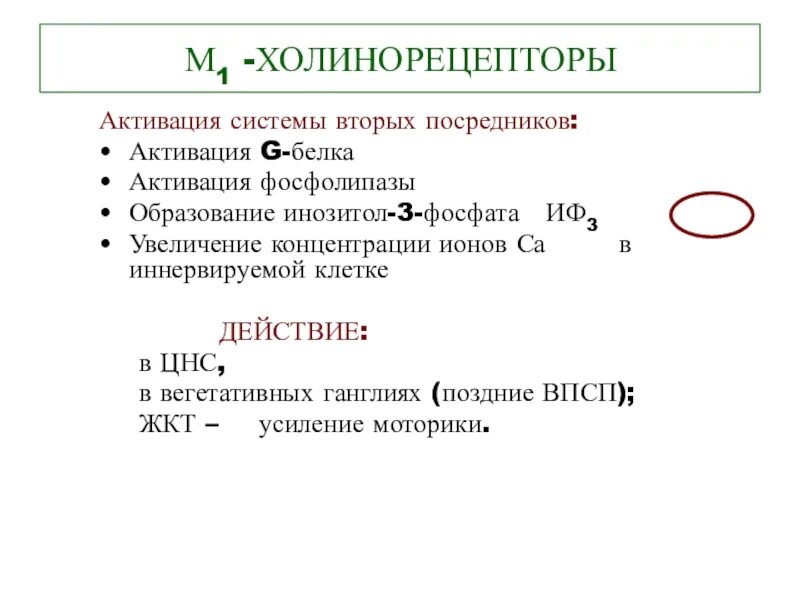 Эффекты холинорецепторов. Активация холинорецепторов. Активация м1 холинорецепторов ЦНС. М холинорецепторы. М холинорецепторы и g белки.