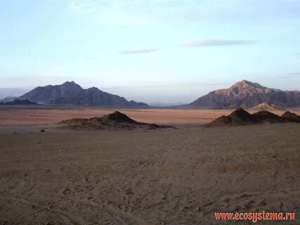 Аравийское плоскогорье