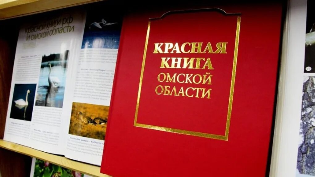 Книга области. Красная книга Омской области. Красная книга Омской области книга. Красная книга животных Омской области. Красная книга Омской области обложка.