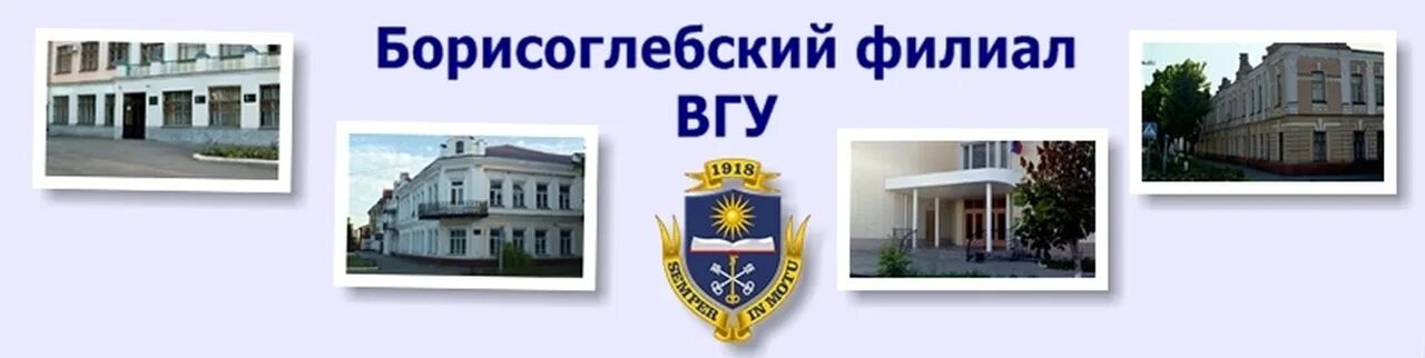 Учреждение высшего профессионального образования воронежский государственный