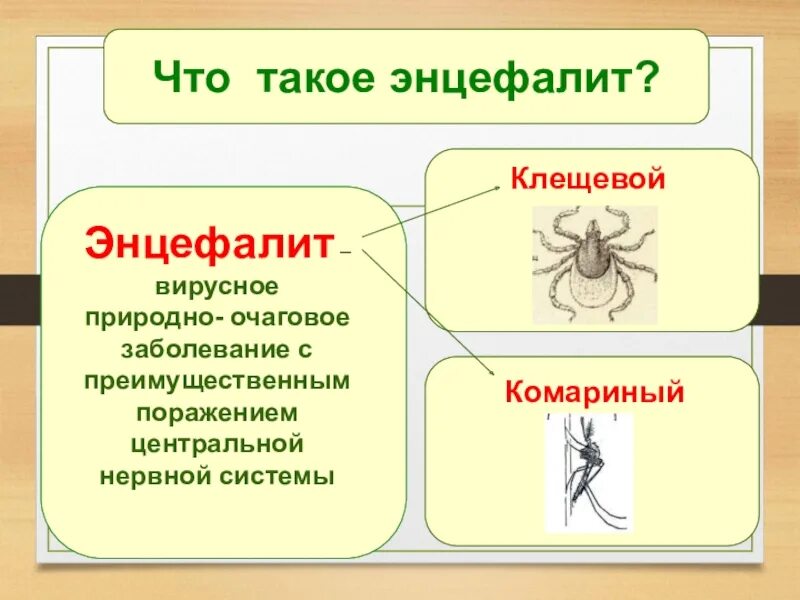 Клещи, укусы, заболевания, боррелиоз, клещевой энцефалит,. Когда появился клещевой энцефалит. Клещевой энцефалитный клещ. Клещи клещевой энцефалит. Вирус клещевого энцефалита возбудитель.