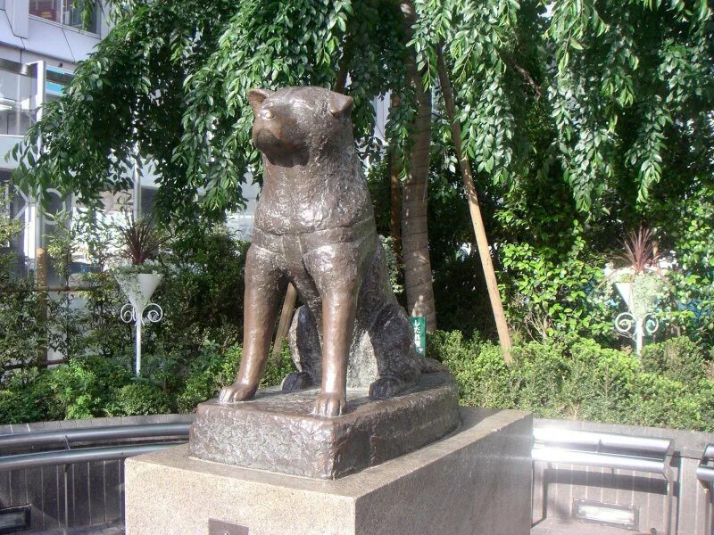 Хатико в каком городе. Памятник собаке Хатико в Японии. Статуя Хатико у станции Сибуя. Памятник псу Хатико в Японии. Бронзовый памятник Хатико.