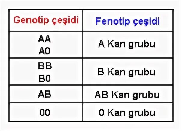 A II rh + kan Grubu. Ko'p Alellik.