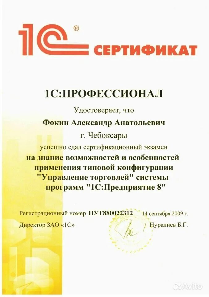 1с профессионал по платформе 8.3. Сертификат 1с профессионал управление торговлей. сертификат 1с профессионал erp. 1с:профессионал по платформе &quot;1с:предприятие 8.3&quot;. сертификат 1с профессионал бухгалтерия 8.3.