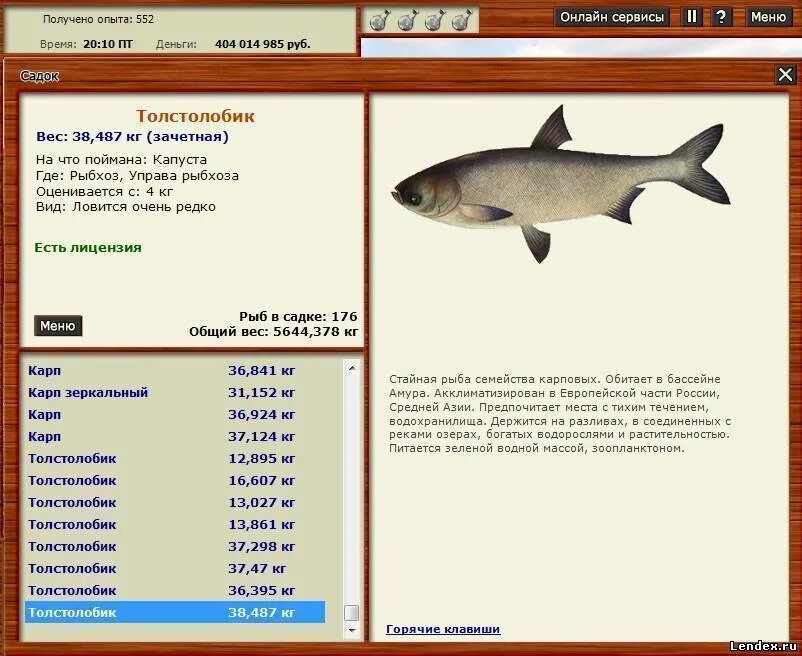 Белый Амур русская рыбалка 3 озеро прикормка. Толстолобик, вес. Вес толстолобика по годам. На что клюет толстолобик
