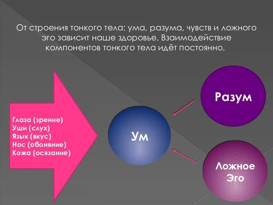 Чувства основа разума