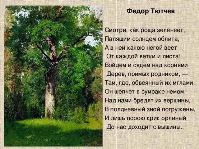 Тютчев лес. Стихи Тютчева о природе. Стихи Тютчева о родной природе. Стихотворение тютьчего про природу. Стих Тютчева проро природу.