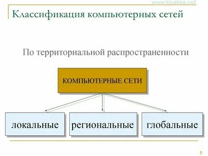 Локальные и глобальные сети передачи данных