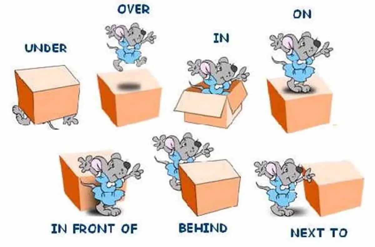 Тема prepositions of place. 4 prepositions 1 place. Предлоги места в английском языке. Prepositions предлоги места. 4 prepositions 1 place.