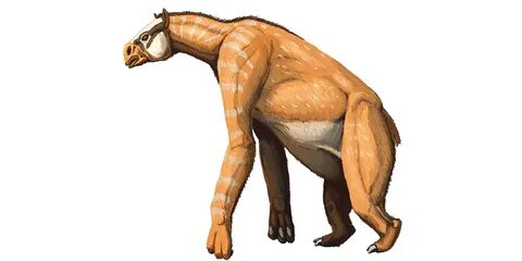 Жеке фотоларды сорып жатқан жастар