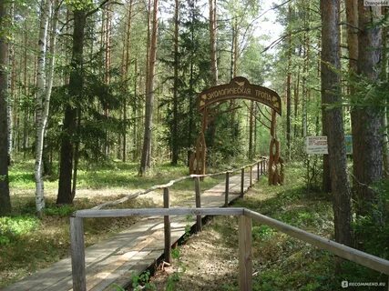 Мещера национальный парк владимирская