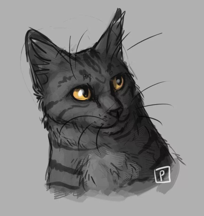 Частокол коты воители арт. Коты воители частокол. Частокол коты воители арт. Коты воители частокол и звездоцап любовь. Darkstripe коты воители.