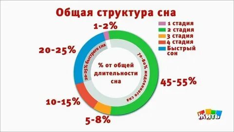 Сколько времени длятся фазы сна