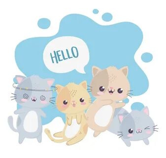 Переведи hello cat